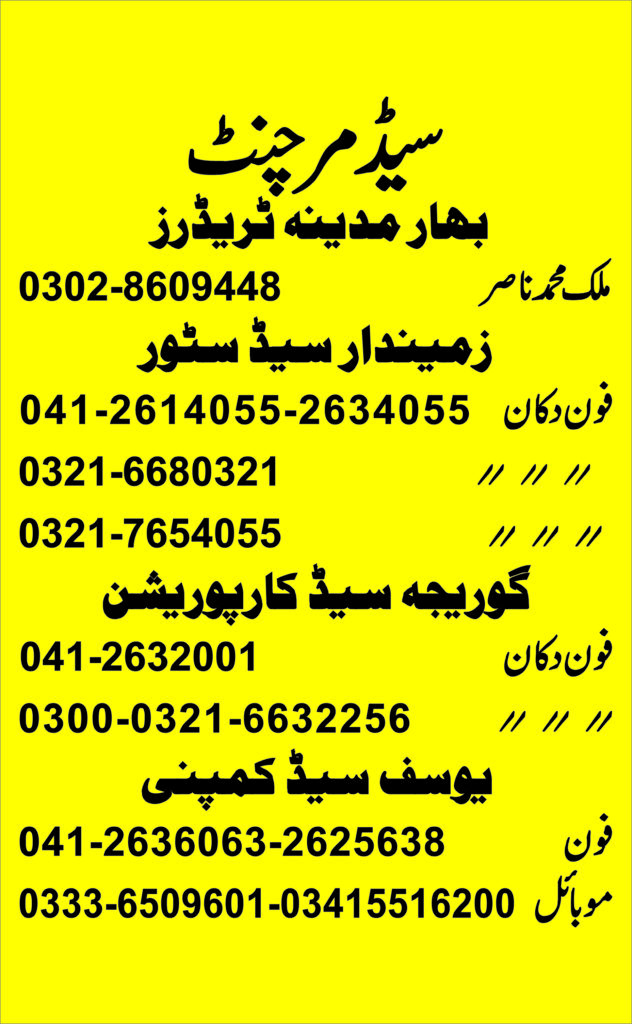 GHALLAMANDI FAISALABAD